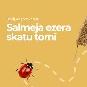 Salmejs